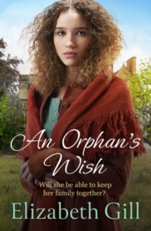 Image of An Orphan's Wish : a moving and uplifting story of one family's efforts to come together in the face of adversity Paperback / softback