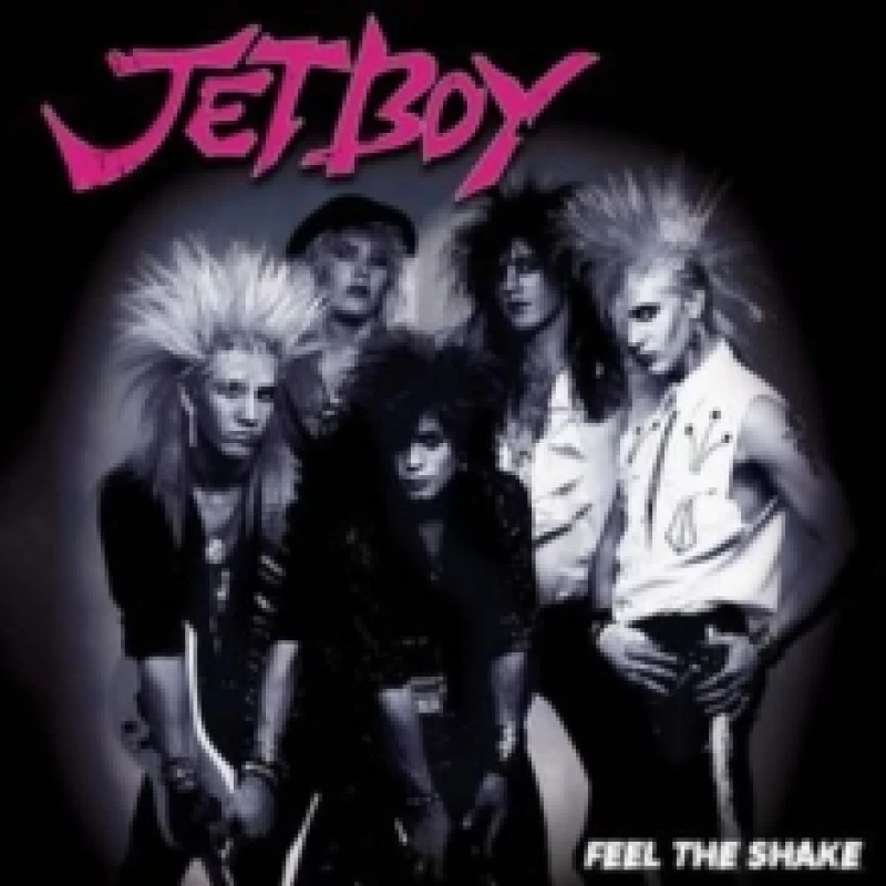 Image of Feel the Shake Vinyl