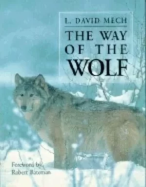 Image of way of the wolf