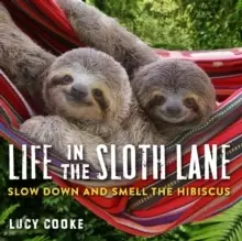 Image of Life In The Sloth Lane : Slow Down and Smell the Hibiscus