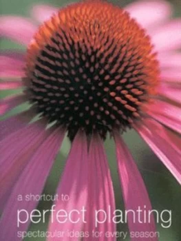 Image of A Shortcut to Perfect Planting by Rob Cassy Hardback