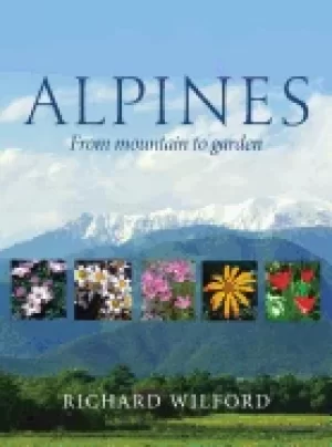Image of alpines from mountain to garden