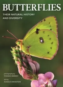 Image of Butterflies: Their Natural History and Diversity