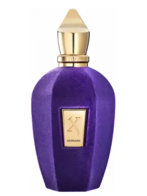 Image of Xerjoff Soprano Eau de Parfum Unisex 100ml