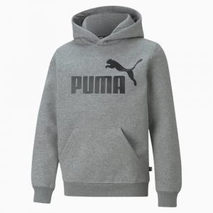 Image of PUMA Essentials Big Logo Youth Hoodie, Medium Grey Heather, size 13-14 Youth, Clothing