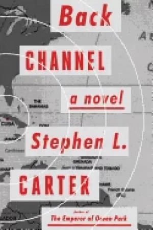 Image of back channel a novel