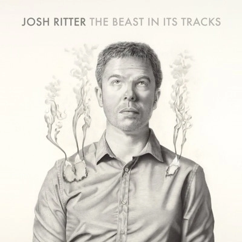 Image of Josh Ritter - The Beast in Its Tracks Vinyl Album - Used