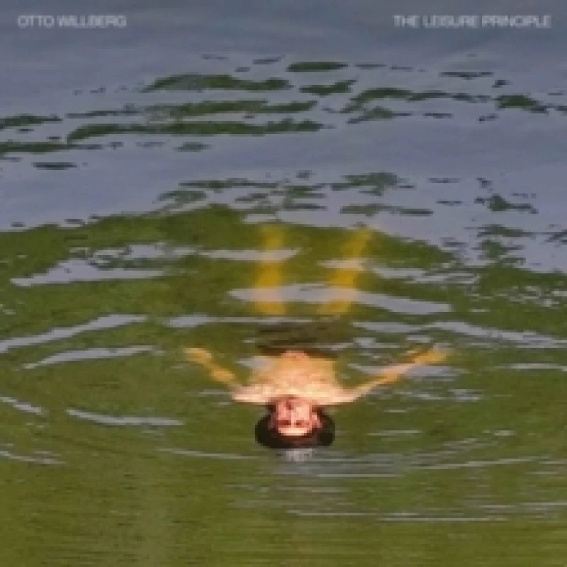 Image of The Leisure Principle Vinyl