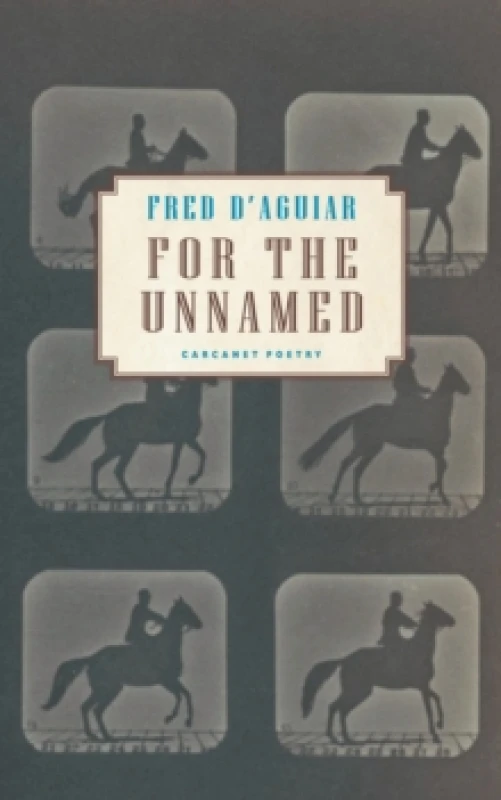 Image of For the Unnamed Paperback / softback