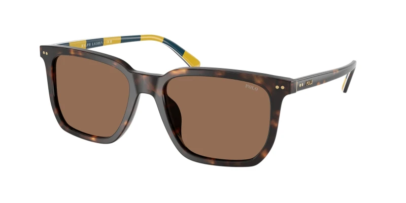 Image of Polo Ralph Lauren Man Polo Ralph Lauren PH4224U 500373 Sunglasses Acetate Turtle Brown Squared Normal Turtle Sunglasses Man Acetate