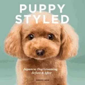 Image of puppy styled japanese dog grooming before and after