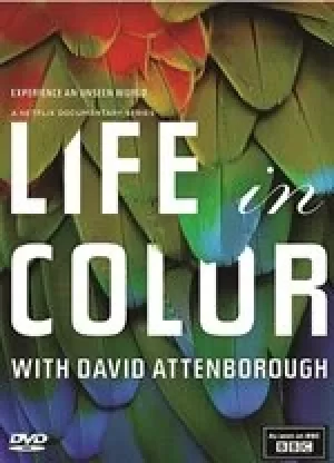 Image of Life in Colour with David Attenborough [DVD] [2021]
