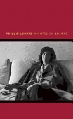 Image of notes on sontag
