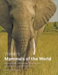 Image of Walker's Mammals of the World : Monotremes, Marsupials, Afrotherians, Xenarthrans, and Sundatherians