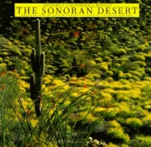 Image of sonoran desert