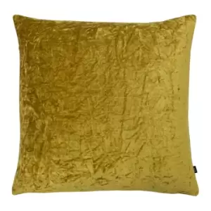 Image of Kassaro Crushed Velvet Cushion Dijon