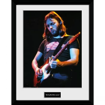 image of David Gilmour - Live Photo Collector Print