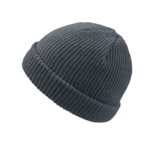 Image of Atlantis Skate Beanie (One Size) (Grey)