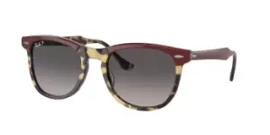 Ray-Ban Sunglasses RB2398 Eagleeye Polarized 1377M3