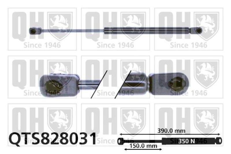 Image of QUINTON HAZELL Tailgate strut QUINTON HAZELL QTS828031