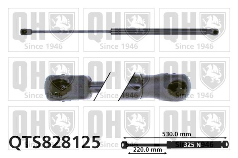 Image of QUINTON HAZELL Tailgate strut QUINTON HAZELL QTS828125