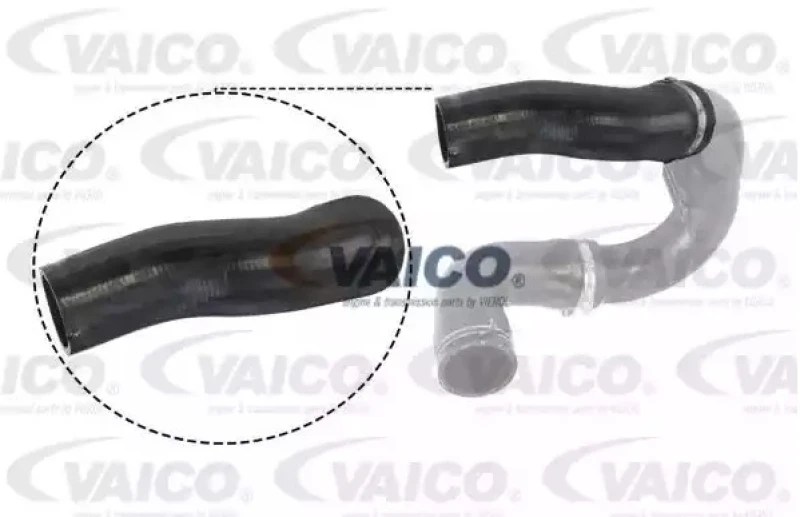 Image of Charger intake hose VAICO V24-0715