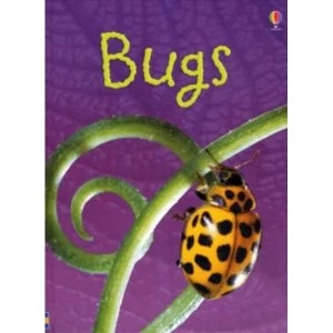 Image of Bugs (Usborne Beginners) (Beginners Series) Hardcover