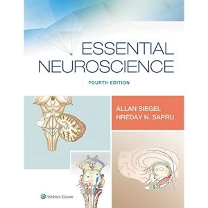 Image of Essential Neuroscience Paperback / softback 2018
