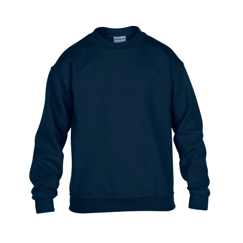 Image of Gildan GD56B girls's Children's sweater in Blue
