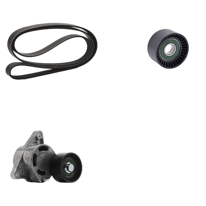 Image of goCORE GCE420036 V-ribbed belt set V-Ribbed Belt Set (542)