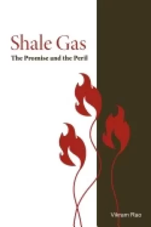 Image of shale gas the promise and the peril
