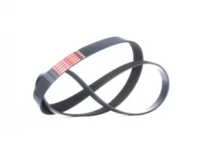 Image of GATES Poly V-Belt AUDI,VW,NISSAN 7PK1275T 06E903137AB,117201VM0B,11720EB300 Ribbed Belt,V Ribbed Belt,Multi V Belt,Poly Belt,V-Ribbed Belts 11720EB30A