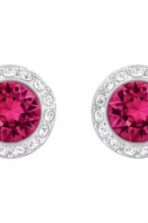 Image of Ladies Swarovski Jewellery Angelic Earrings 5446022