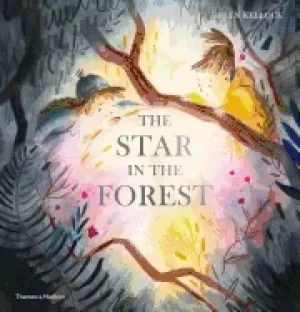 Image of star in the forest