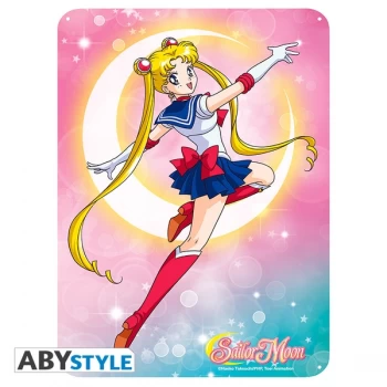 Sailor Moon - Sailor Moon (28 x 38cm) Metal Plate