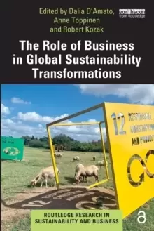 Image of The Role of Business in Global Sustainability Transformations