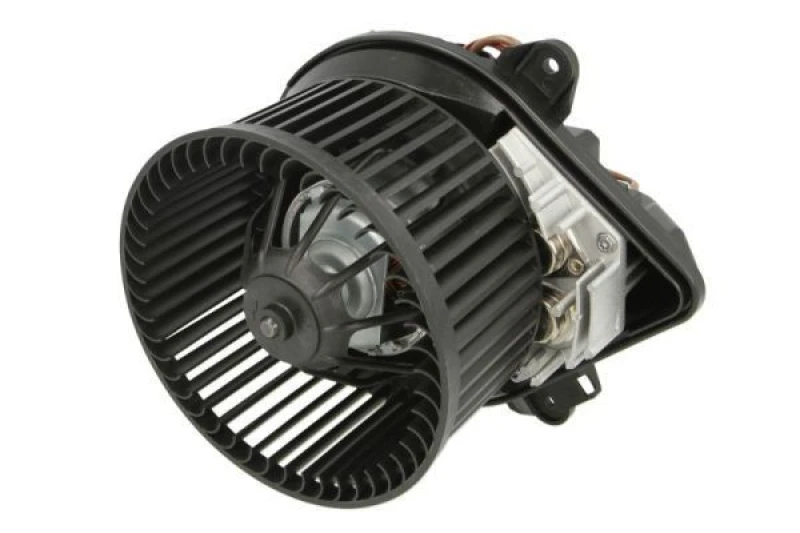Image of THERMOTEC Heater blower motor THERMOTEC DDP006TT