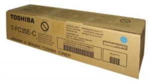 Image of Toshiba TBFC35E Original Bag Waste