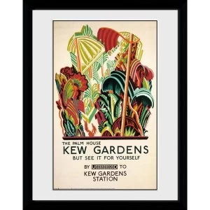 image of Transport For London Kew Palm House 12" x 16" Framed Collector Print