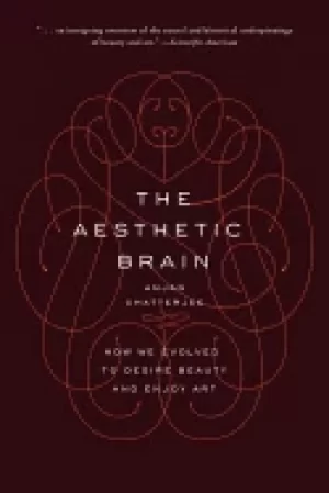 Image of aesthetic brain how we evolved to desire beauty and enjoy art
