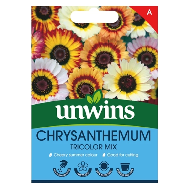 Image of Unwins Chrysanthemum Tricolor Mix