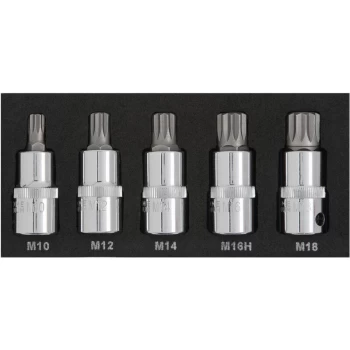 Image of 01509 5 Piece 1/2' Spline Bit Set (M10-M18) (EVA FOAM) - Bluespot