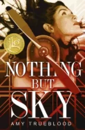 Image of nothing but sky