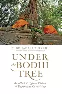 Image of under the bodhi tree buddhas original vision of dependent co arising