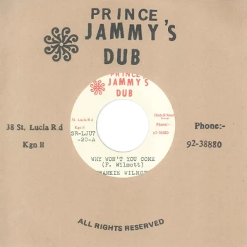 Image of Various - Why Won't You Come Vinyl