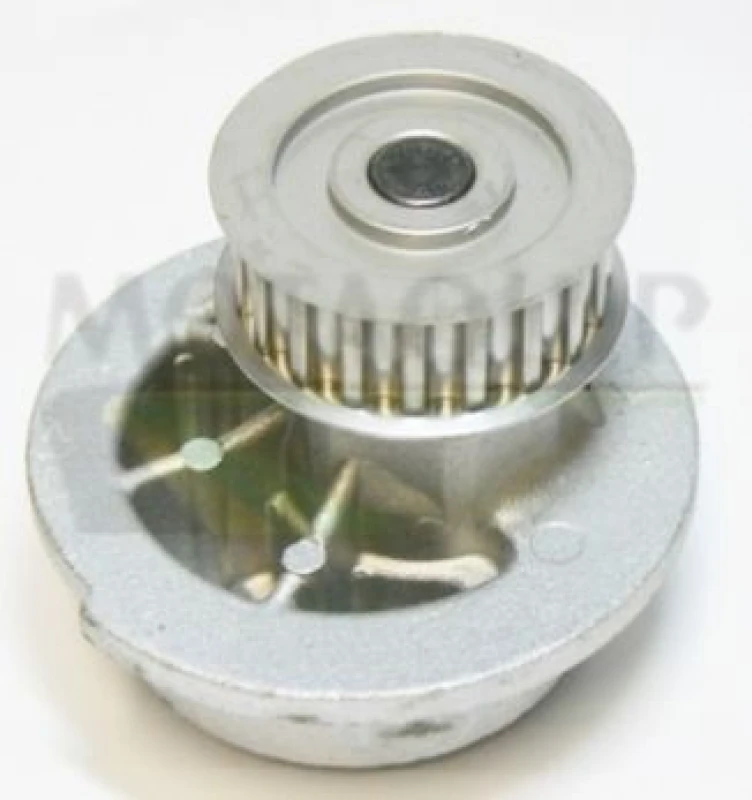 Image of MOTAQUIP Water pump MOTAQUIP VWP254