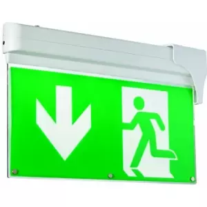 Image of Loops - 4 in 1 Fire Exit Emergency Ceiling / Wall Pendant Light 1W LED Suspended Escape