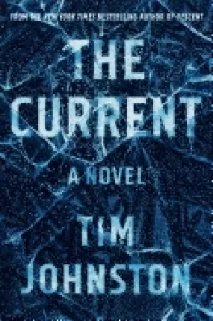 Image of current a novel