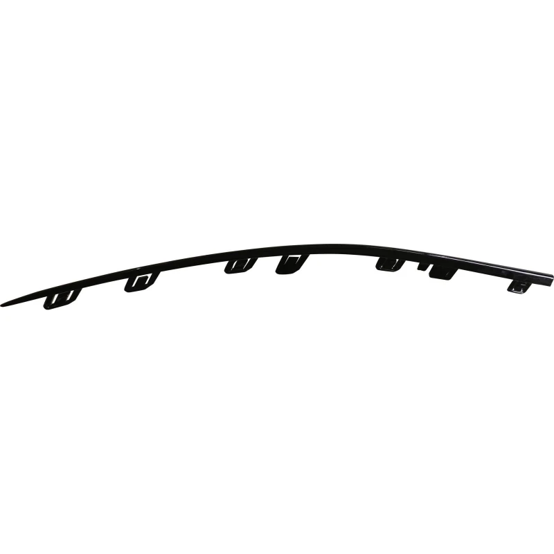 Image of Bumper moulding DIEDERICHS 1674361