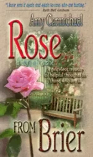 Image of rose from brier